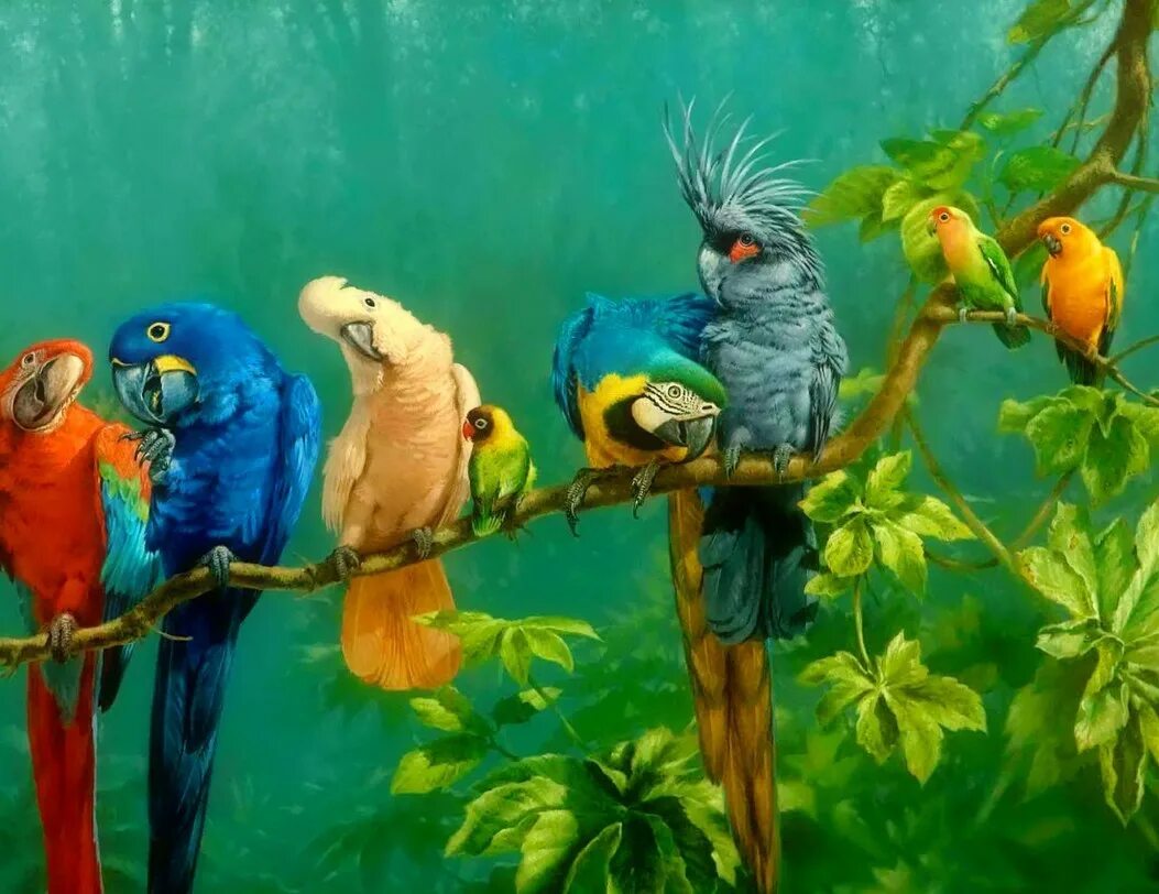 Крутой попугай. Попугай в цирке. Дрессированные попугаи. Рио попугай жемчужинка. Желтоголовый амазонский попугай.