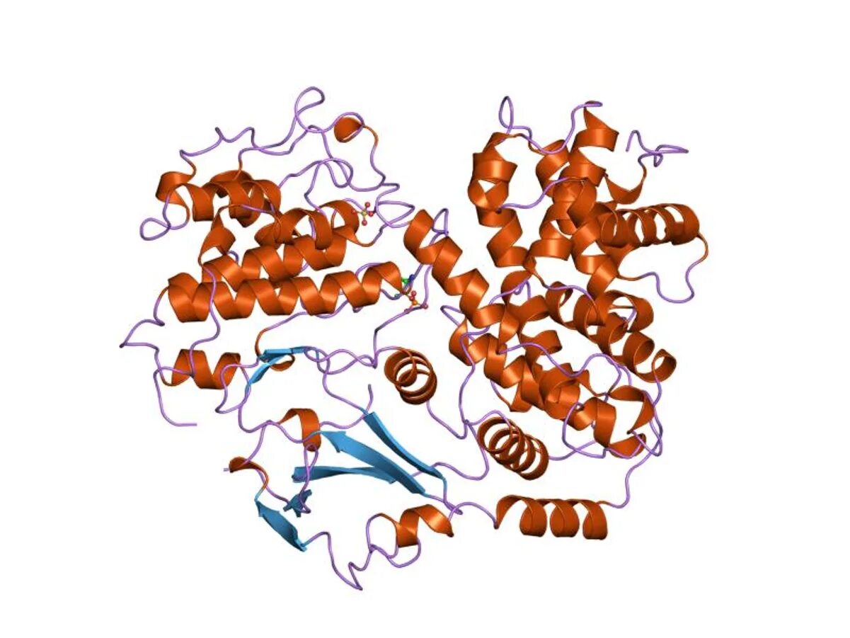 Белки 0 8 г. Ингибиторы циклинзависимых киназ. Cdk2 белок. Cyclin dependent kinase. Ингибитора циклинзависимой киназы, p27kip1.
