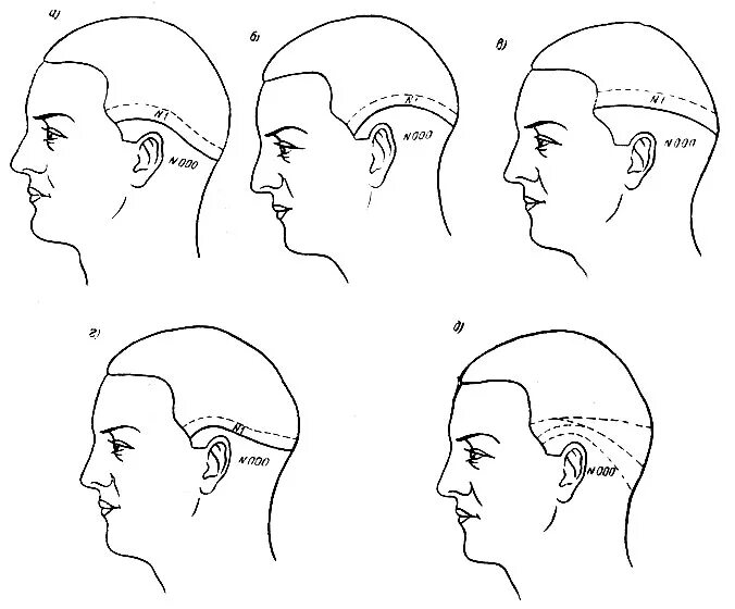 необычная форма головы. формы лица у мужчин. идеальная форма головы. человек с разных ракурсов. форма головы.