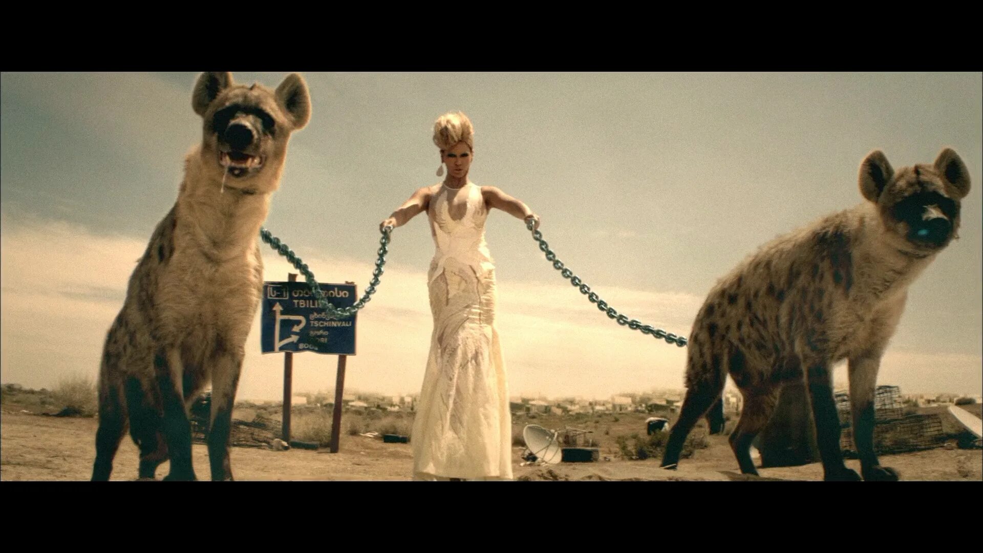 Beyonce world girl. Жизнь пи гиена. Бейонсе who Run the World. Beyonce who Run the World girls. World Run.