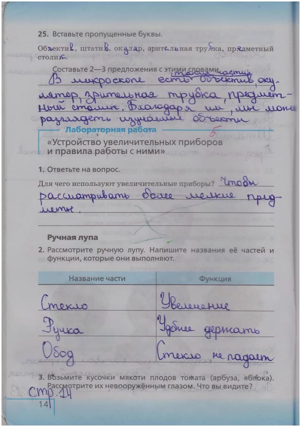 Биология 5 класс стр 21 ответы. Пятый класс биология рабочая тетрадь страница 14. Биология 5 класс рабочая тетрадь стр 14. Рабочая тетрадь по биологии 5 класс страница 14. Биология 5 класс рабочая тетрадь стр 14 15.