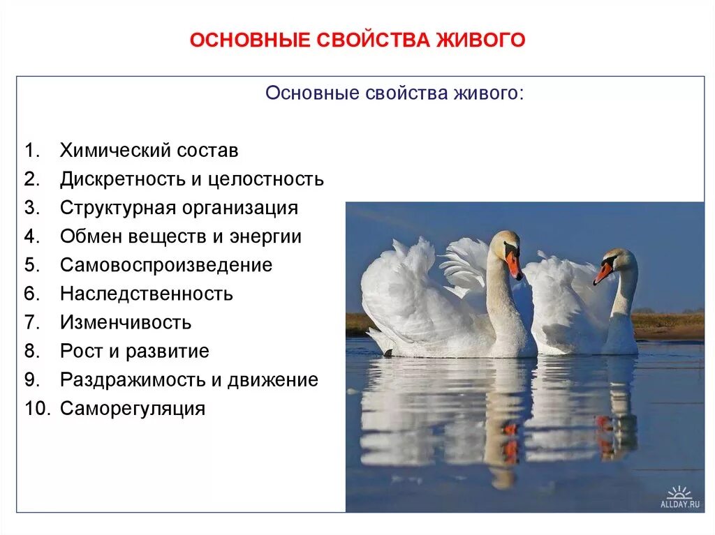 Свойства живого. Фундаментальные свойства живого. Сущность и свойства живого. Основные свойства живых организмов.