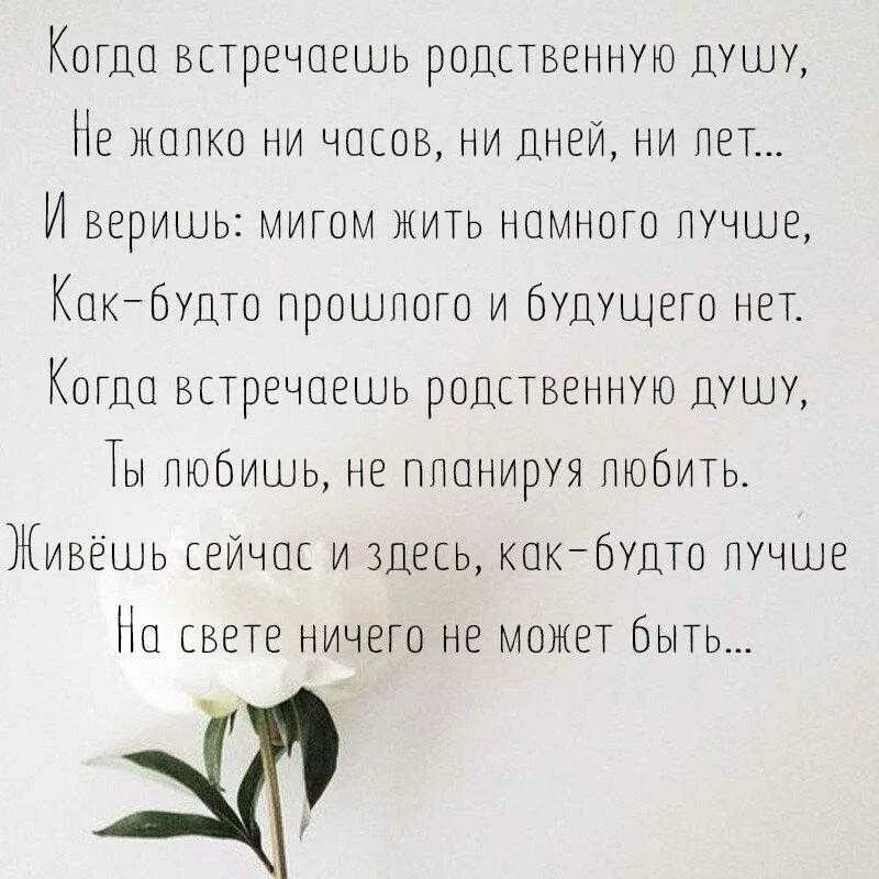 Душевный предложение