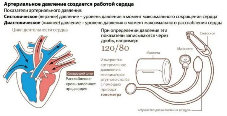 Нижнее давление 100. Кровяное давление нижнее и верхнее. Верхнее давление. Верхнее и нижнее давление норма и отклонения схема. Систолическое давление это нижнее или верхнее.