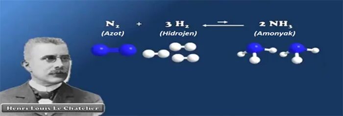 Анри Луи Ле Шателье. Ле Шателье Браун французский ученый. Принцип Анри Луи Ле Шателье.. Химик Шателье. Ле шателье браун