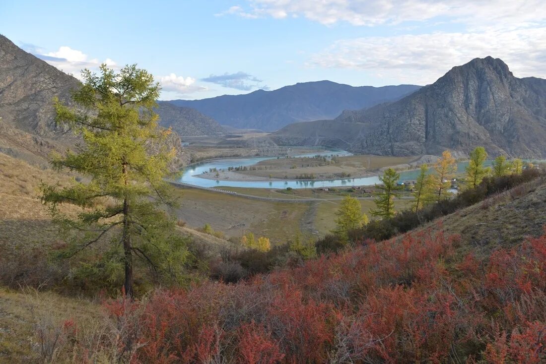 пасека 13 республика алтай чемал. база отдыха сайты. республика алтай катунь усть-кокса. яломан горный алтай. алтайский край туризм.