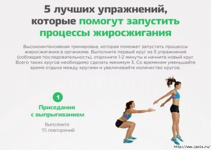 Скорость обмена веществ. Как запустить процесс жиросжигания. Как запустить жиросжигание в организме. Процесс сжигание жиров. Жировые клетки в организме.