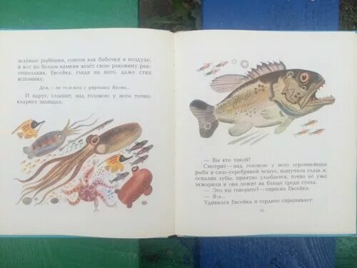 Случай с евсейкой читать. Случай с евсейкой горький. Составить характеристику евсейки. План по рассказу случай с евсейкой. "случай с евсейкой".