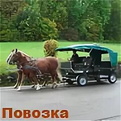 Крытая повозка 8 букв сканворд