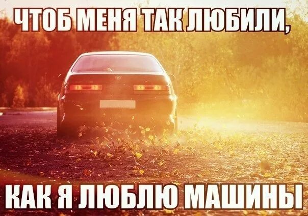 Скачай мне чтоб я видел