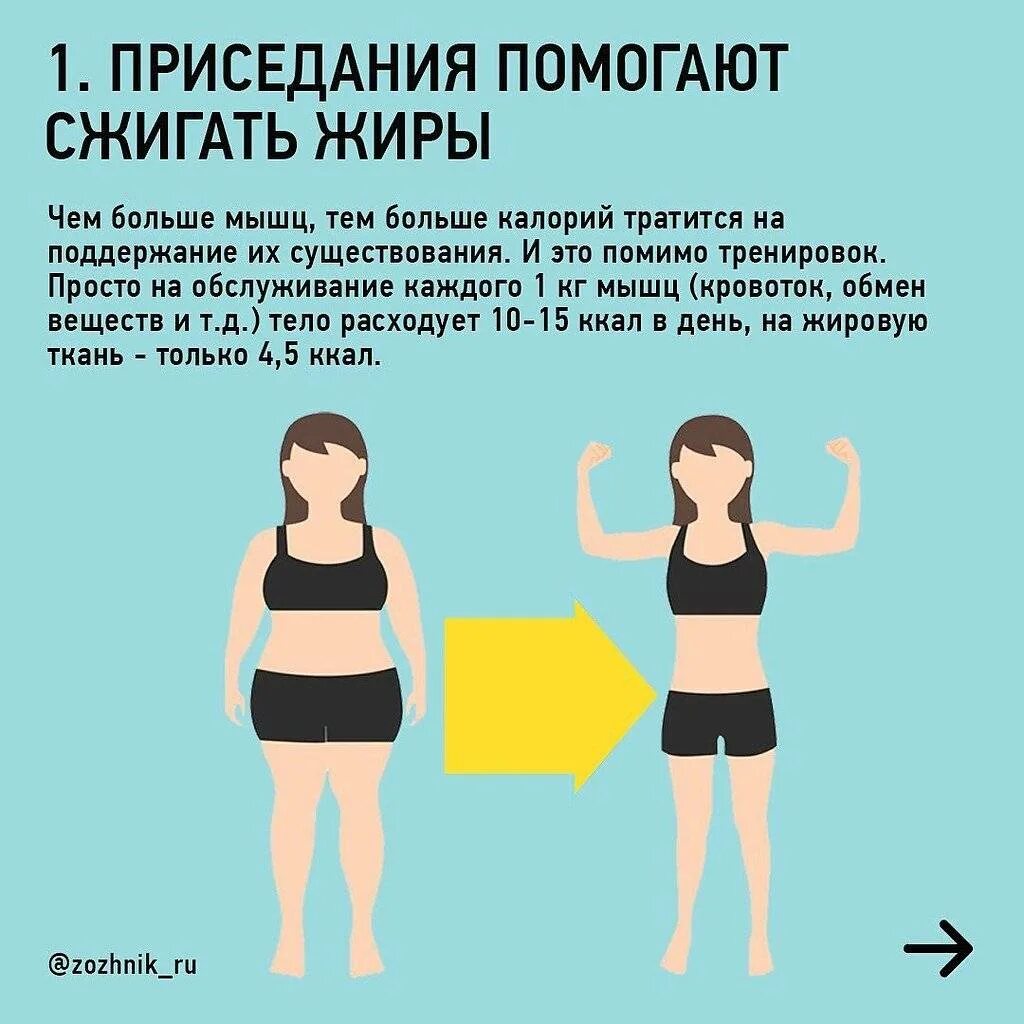 Полезные приседания для женщин. Приседания техника выполнения. Что будет если приседать. Приседания польза. Приседания польза.