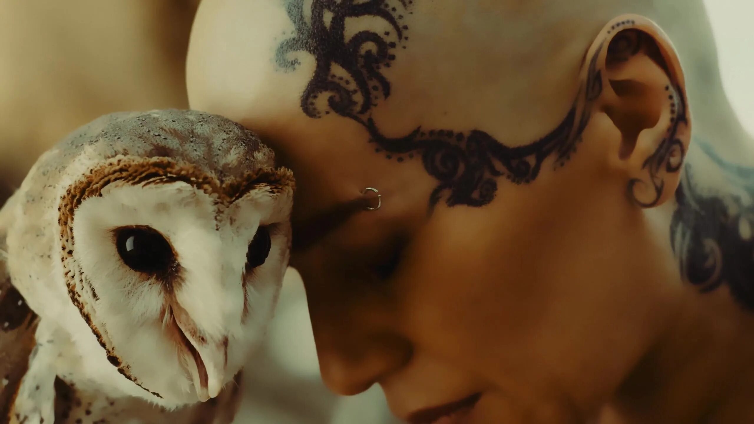 наргиз закирова нежность. наргиз. песни наргиз ты моя нежность. наргиз 2023. привет наргиз.