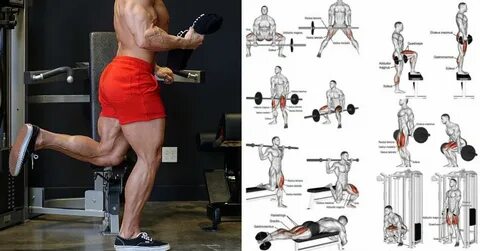 Программа для дня ног в тренажерном зале