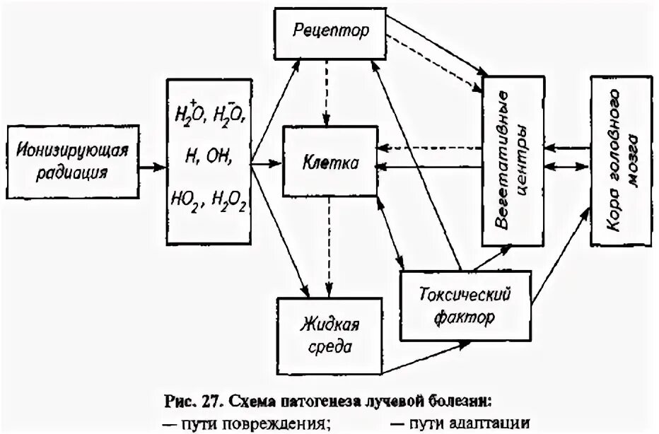 Схема патогенеза лучевой болезни. Лучевая болезнь этиология и патогенез. Острая лучевая болезнь патогенез схема. Хроническая лучевая болезнь патогенез. Острая лучевая болезнь патогенез схема.