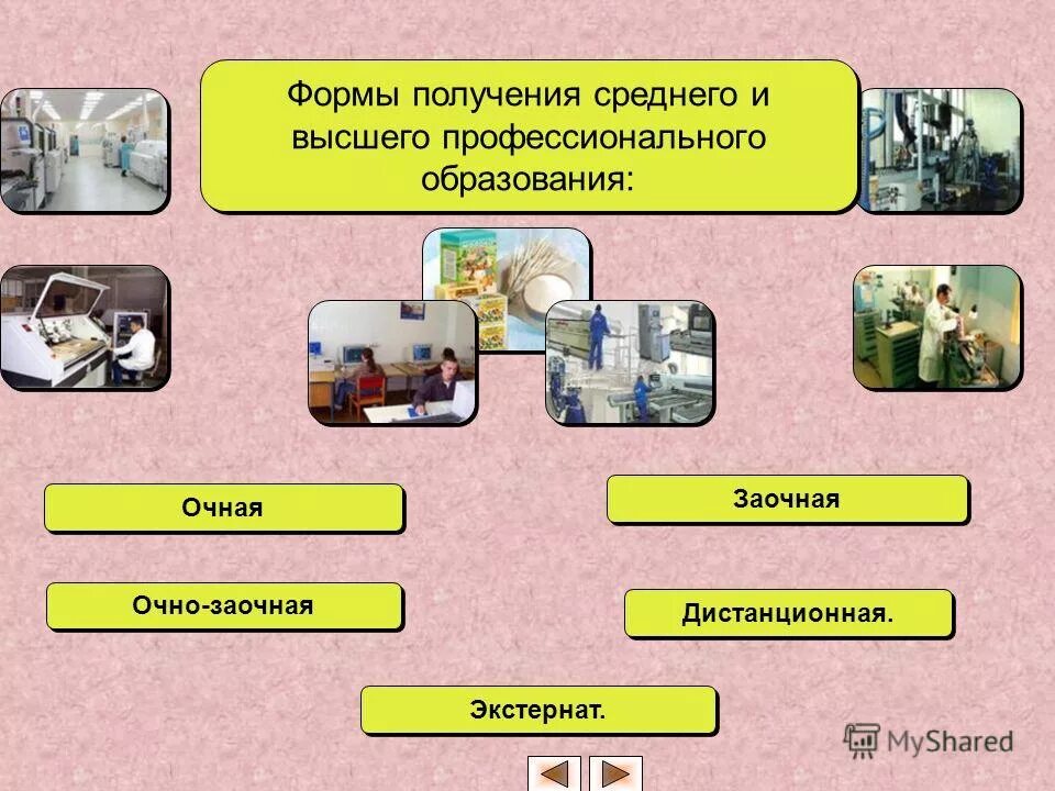 Получить 2 профессии получить. Получить 2 профессии получить