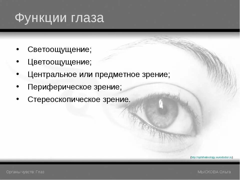 Основные функции зрения. Функции глаза. Функции глаза человека. Основные функции глаза. Основные функции глаза человека.