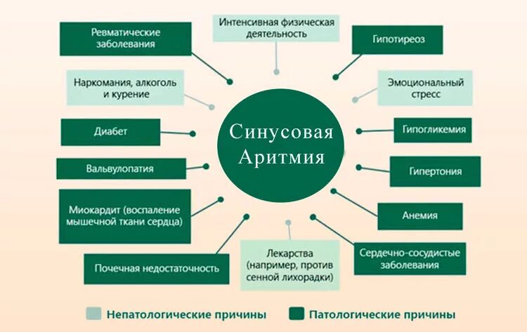 Сердцебиение причины лечение. Тахикардия причины возникновения. Причины ускоренного сердцебиения. Тахикардия причины возникновения у женщин. Усиленное сердцебиение причины.