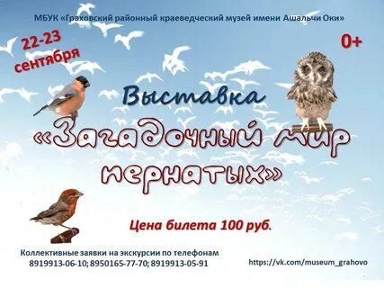 Афиша птица