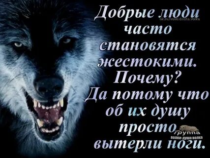 Почему я стала злее