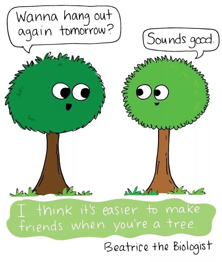 It is not a tree. Дерево друзей. весёлое дерево друзей. biology funny cartoon. tree friends.