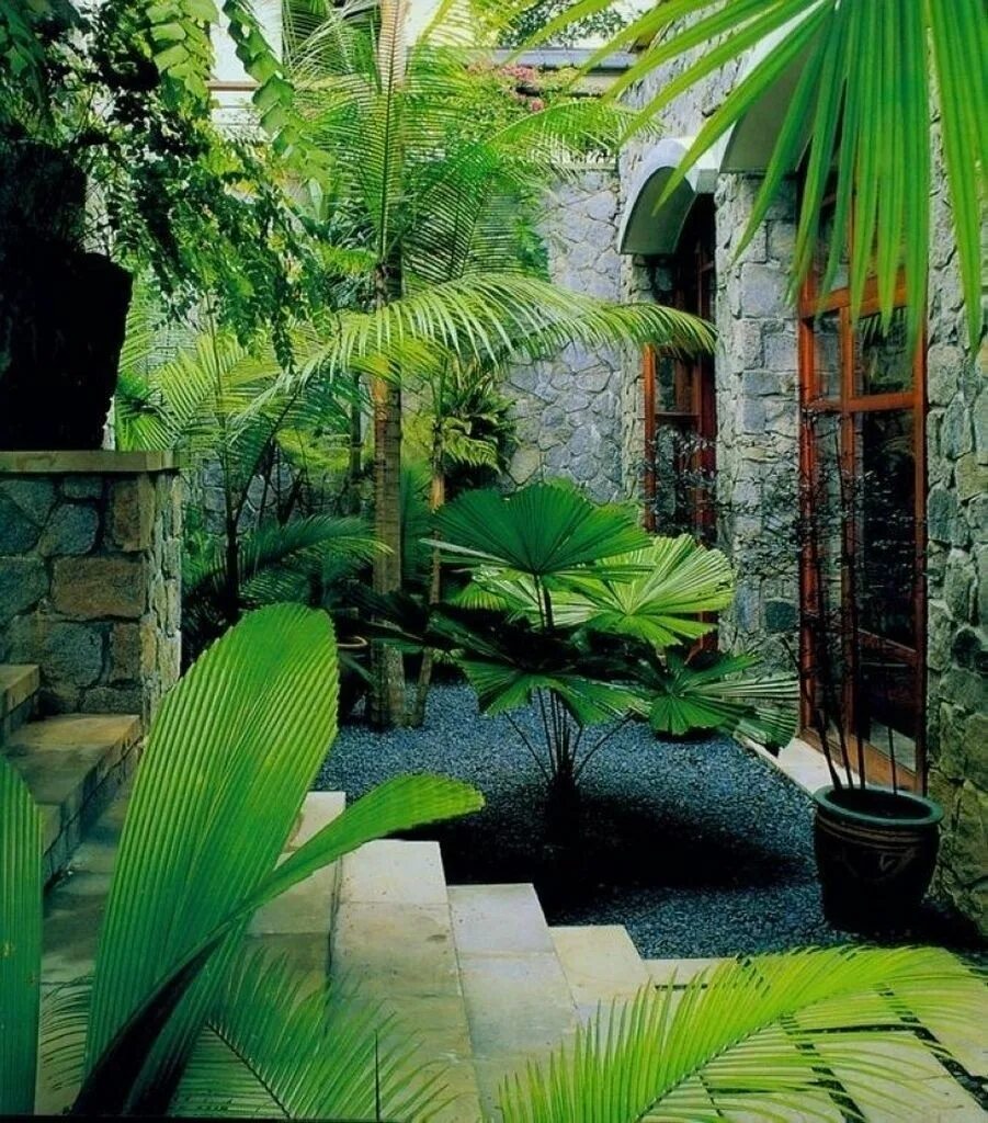 Сад в тропическом стиле. Ландшафты тропиков. Тропический ландшафт. Ландшафт в стиле тропики.