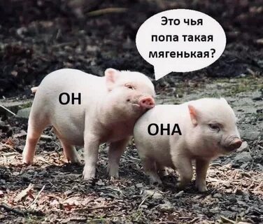 Мягенький как правильно