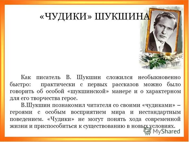 Урок по рассказам шукшина в 7 классе. Герои Шукшина чудики. Персонажи рассказа чудик Шукшина.