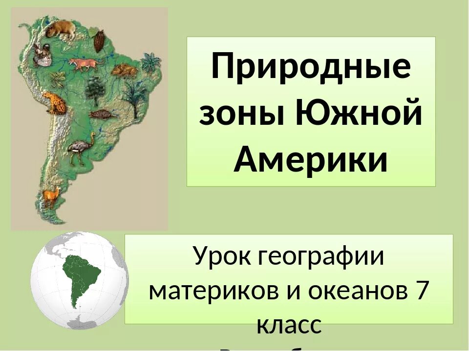 Природы зоны южной америки. Природные зоны ю Америки. Экваториальный пояс Южной Америки природная зона. Природные зоны Южной Америки 7. Природные зоны южных материков Южной Америки 7 класс.