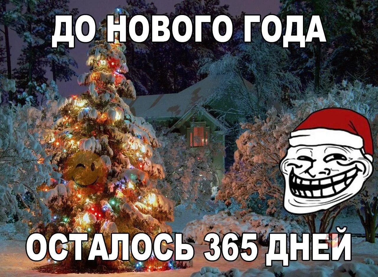 6 дней нового года