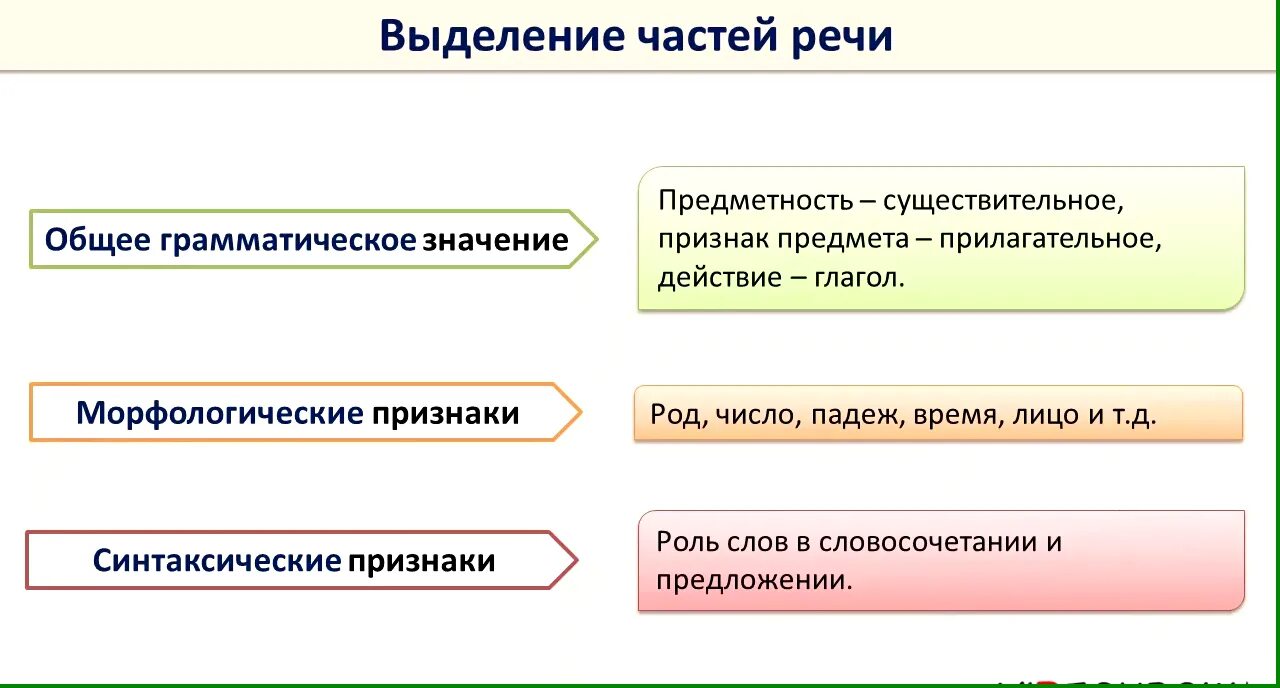 Морфологические признаки и синтаксические функции имени прилагательного