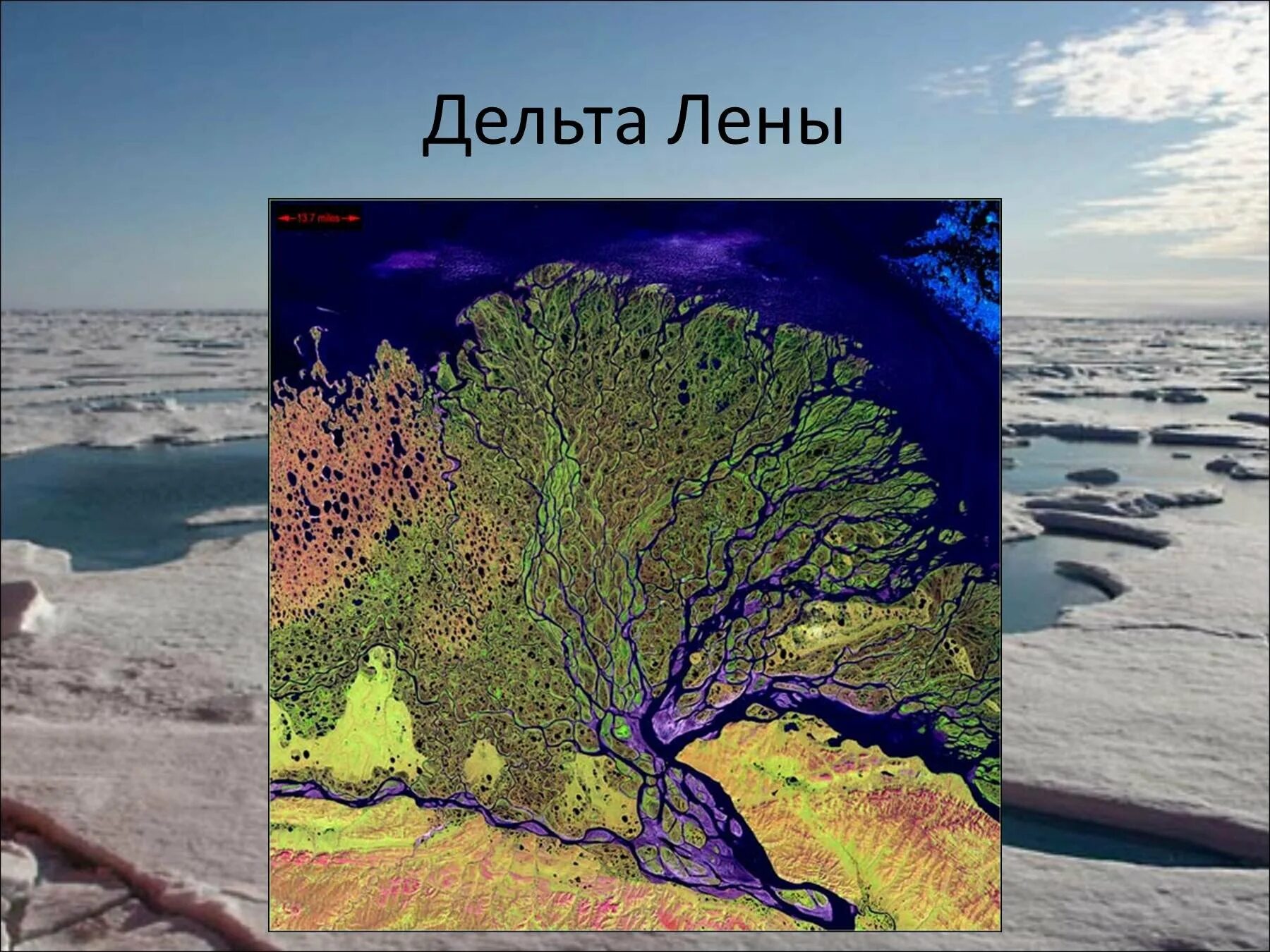 Дельта реки Лена. Дельта реки Лена на карте. Дельта Лены со спутника. Река Лена впадает в море Лаптевых. Река обь впадает в северный ледовитый океан