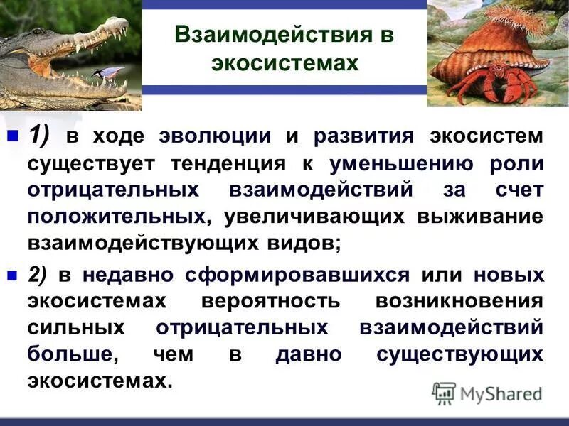 Различие между организмами