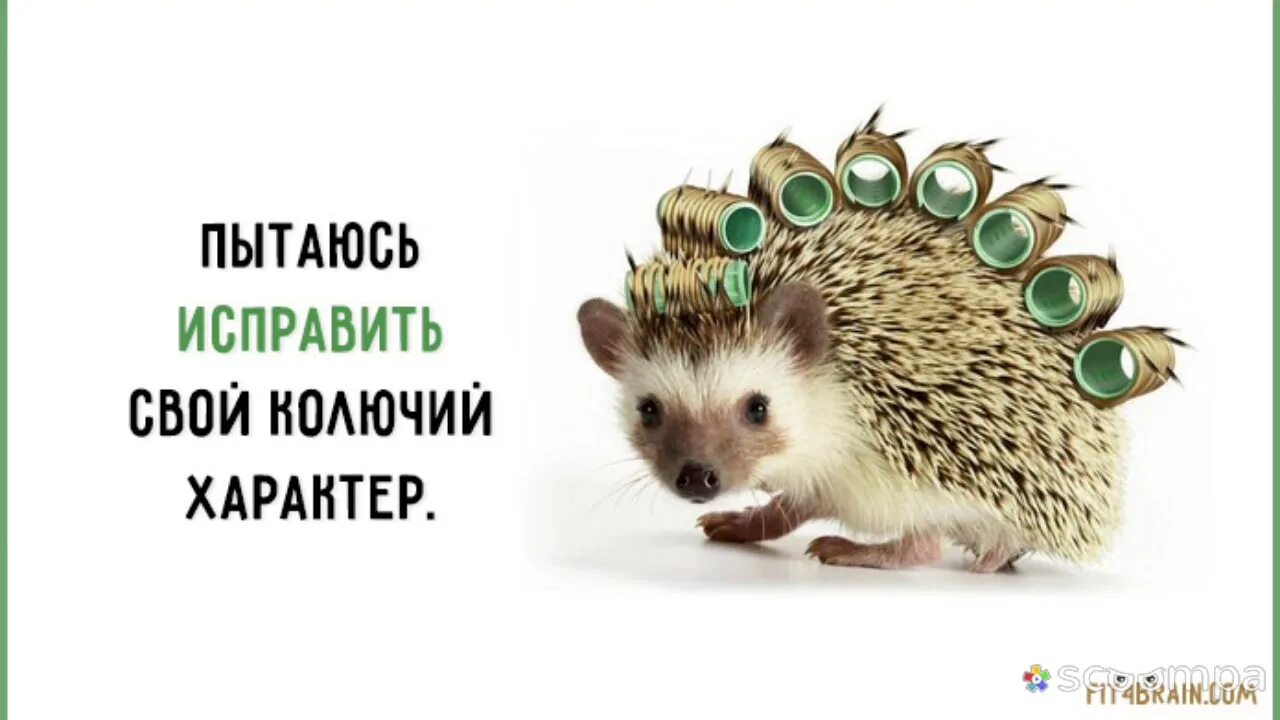Не пытайтесь исправить людей