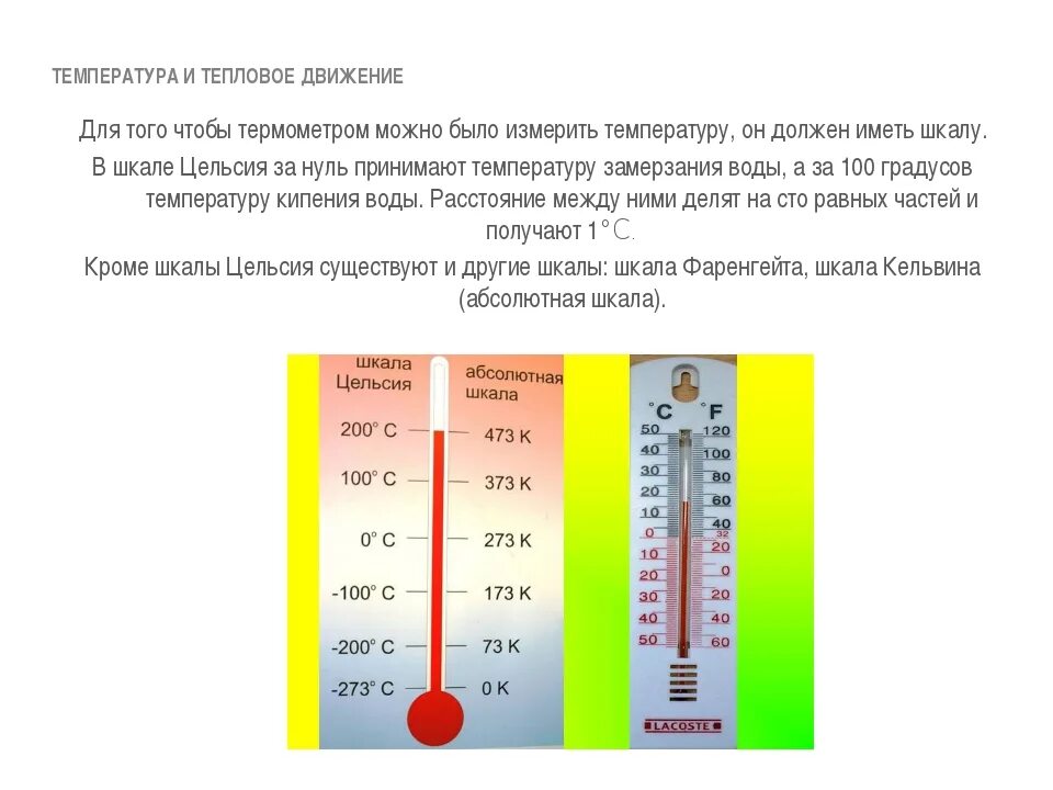 Как человек определяет температуру. Как устроен термометр со шкалой Цельсия. Шкалы температур, термометры в физике. Шкала градусника для измерения температуры. Тепловое движение температура.