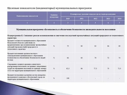 Система целевых показателей проекта