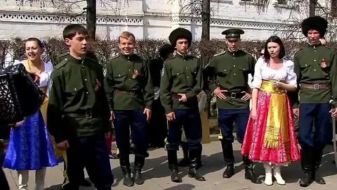Казачья вишня белоснежная цветет