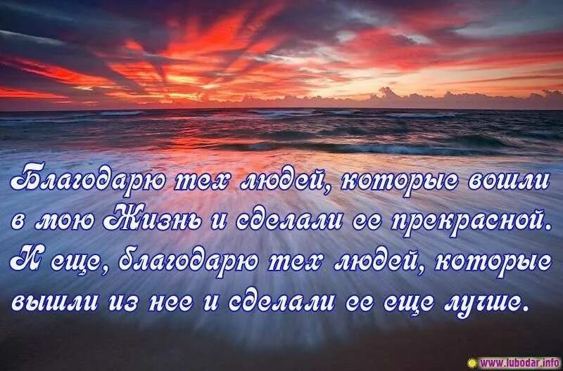 Такие хороши тем что благодаря
