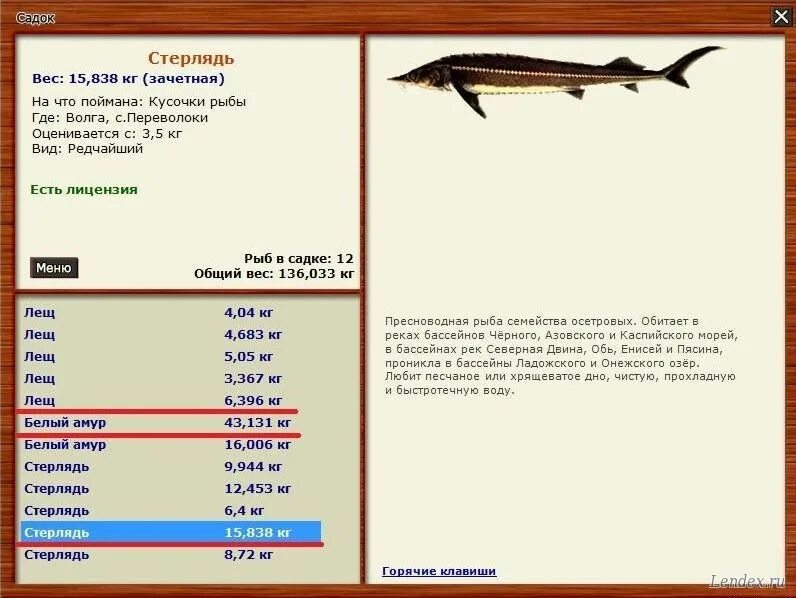 рыбы в русской рыбалке. русская рыбалка 3. рыбы русской рыбалки 3. где ловить зачетного. 7 деревенские просторы.