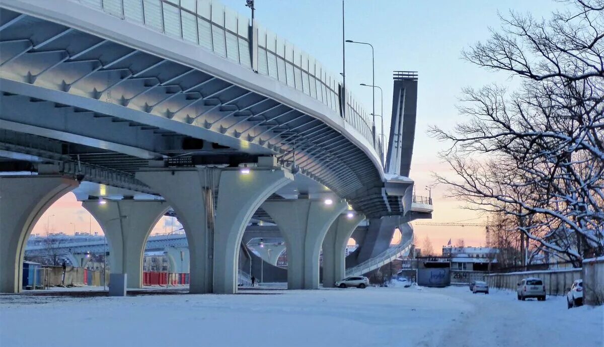 Где начинается мост. Мост Бетанкура в Санкт-Петербурге. Мост Бетанкура скейт парк. Место под мостом.