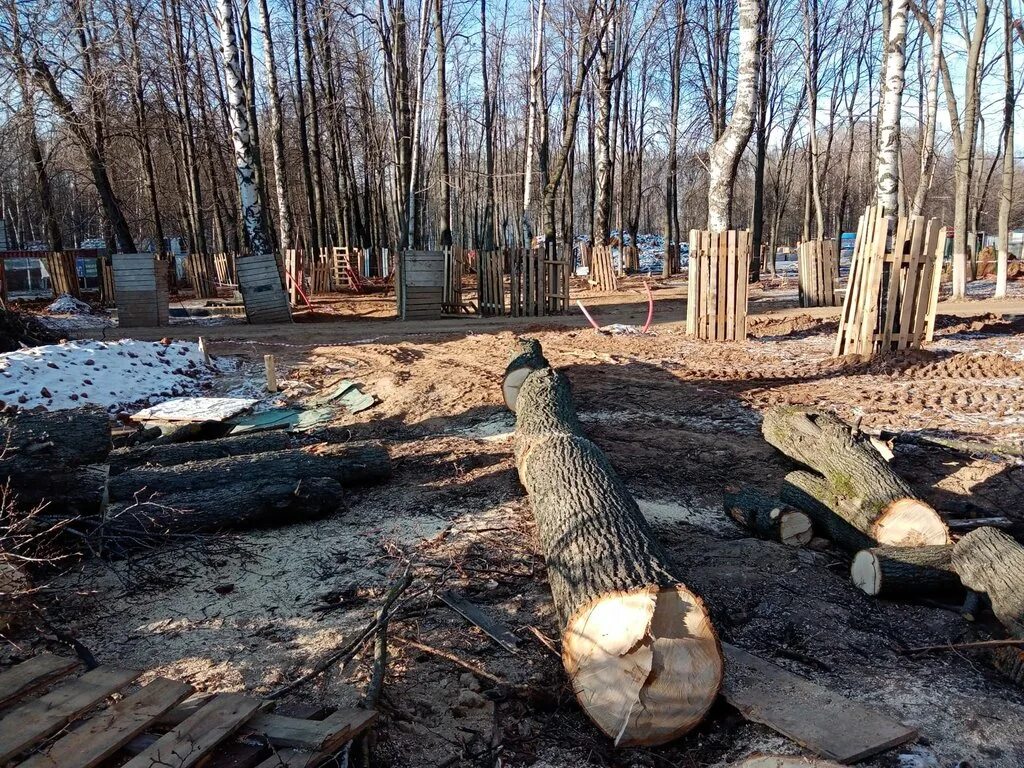 Парк Швейцария деревья Нижний Новгород. Деревья в парке Швейцария Нижний Новгород. Парк Швейцария Нижний Новгород реконструкция.