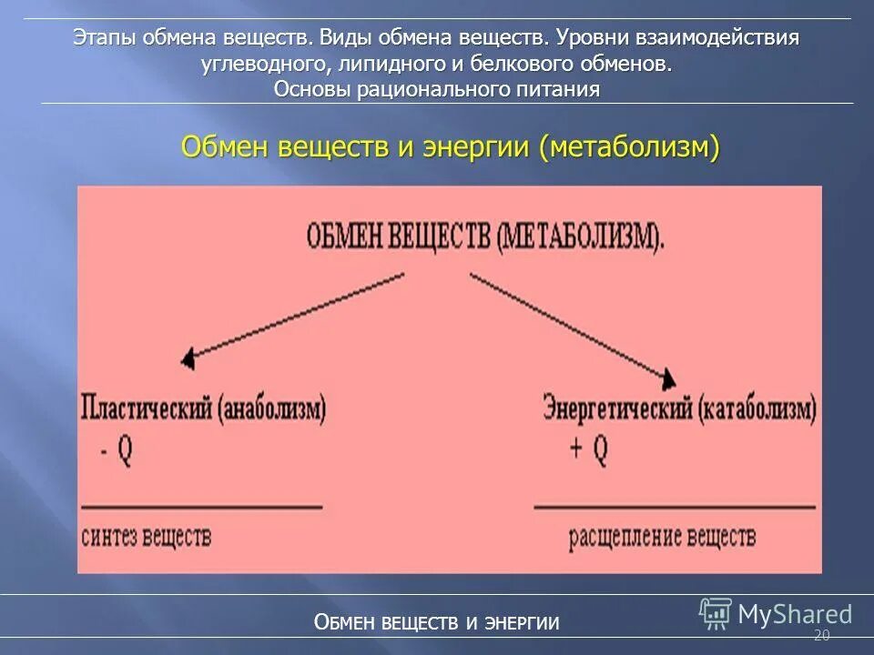 Два типа веществ. Два типа веществ
