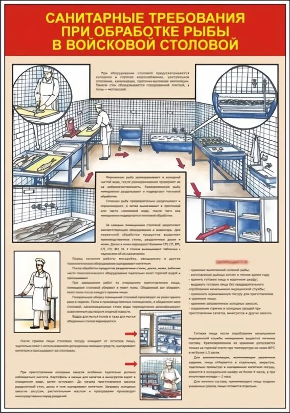 Инструкция по обработке рыбы. Санитарные требования при обработке рыбы. обработка рыбы в столовой. санитарные требования по обработке рыбы. санитарные требования при обработке рыбы 6 класс.