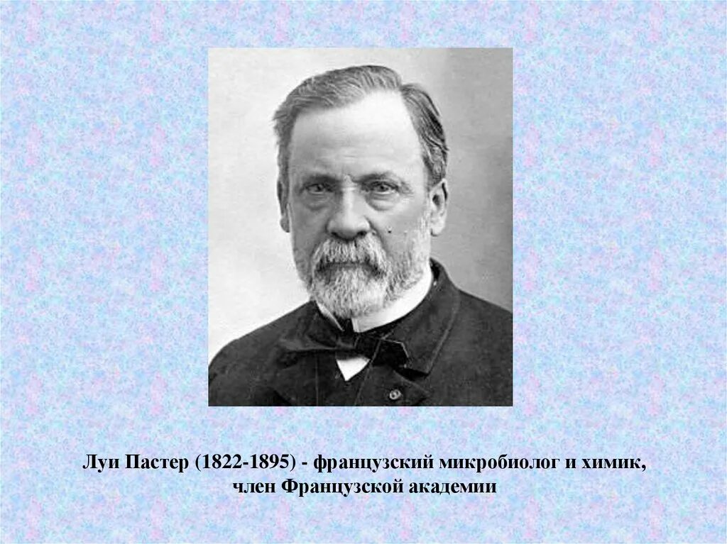 Луи пастер микробиолог и иммунолог разработавший. Луи пастер (1822–1895) биогенез. луи пастер микробиолог. французский микробиолог луи пастер.. французский учёный луи пастер (1822–1895),.