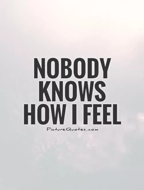 Who knows the feeling. Nobody knows. Nobody know how i feel. Nobody know или knows. Nobody can understand me.