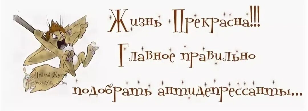 Если правильно подобрать к началу. Жизнь прекрасна если правильно подобрать антидепрессанты. Жизнь прекрасна главное правильно подобрать антидепрессанты. Пятница высказывания Мудрые. Жизнь прекрасна если правильно подобрать.