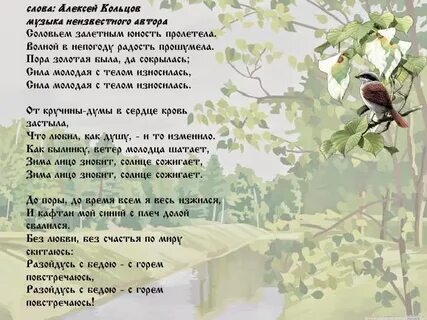 Соловьи афоризмы