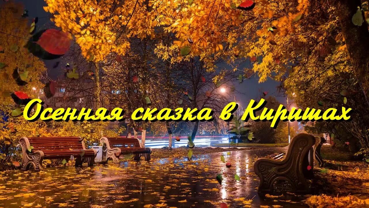В осеннюю сказку попали