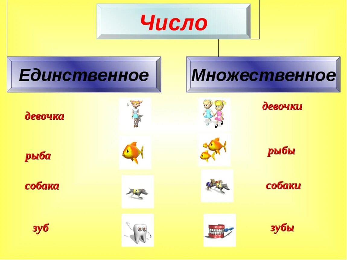 Множественное число слова 2 класс. Множественное число имен существительных 2 класс. Множественное число и единственное число в русском языке. Существительное. Единственное и множественное число. Существительные единственного и множественного числа.