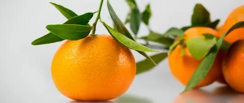 Haze fruit