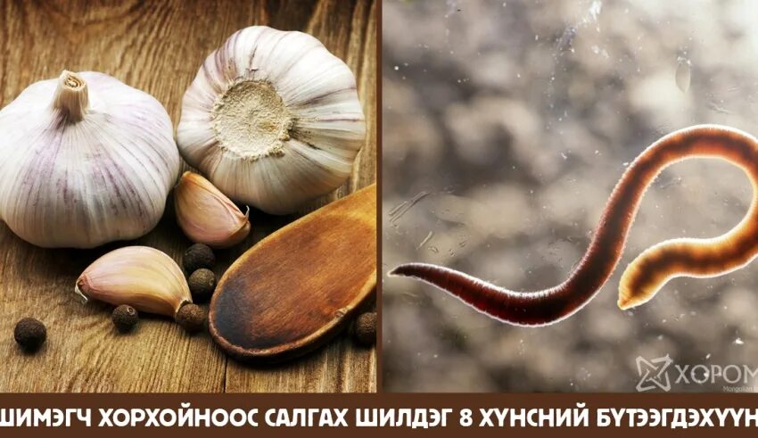 Что есть чтобы избавиться от паразитов. Продукты от глистов. продукты от паразитов в организме. продукты убивающие паразитов.